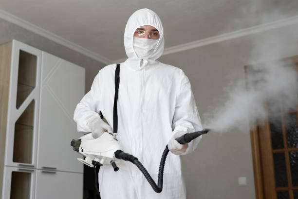 Best Forensic Mold Investigation in Henrietta, TX